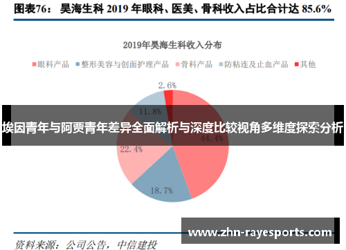 埃因青年与阿贾青年差异全面解析与深度比较视角多维度探索分析